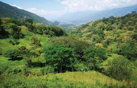 Lote 20 en San Jerónimo HSJ