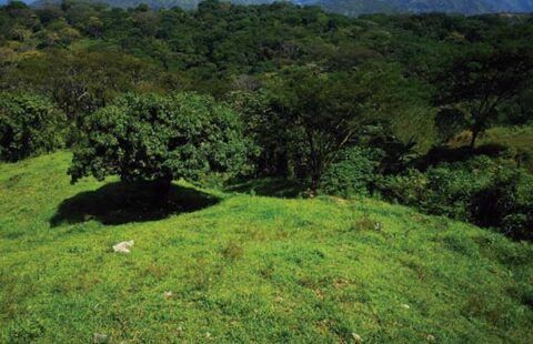 Lote 36 en San Jerónimo HSJ