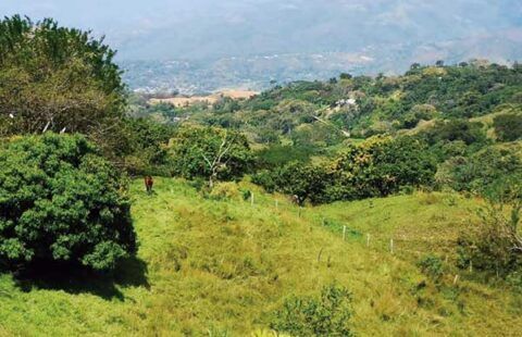 Lote 35 en San Jerónimo HSJ