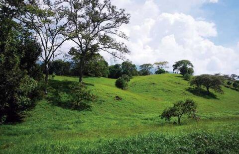 Lote 31 en San Jerónimo HSJ