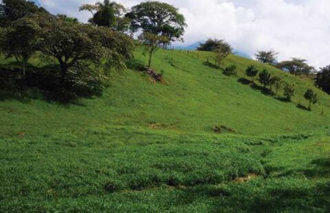 Lote 47 en San Jerónimo HSJ