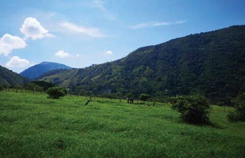 Lote 33 en San Jerónimo HSJ