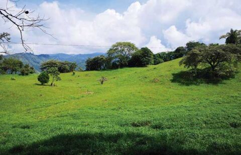 Lote 27 en San Jerónimo HSJ