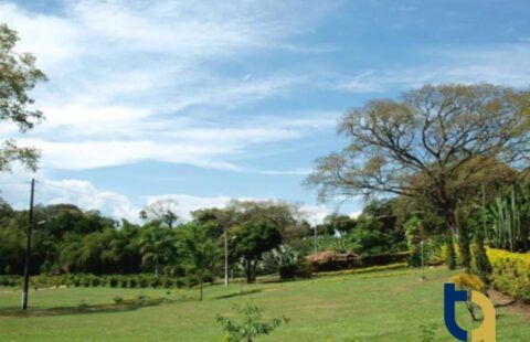 Venta de lote en Condominio Campestre