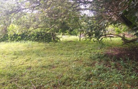 Venta de lote sopetran