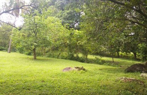 Venta de Lote sopetran