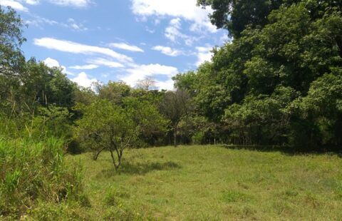 Venta de lote sopetran