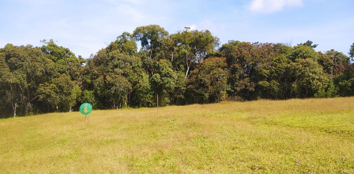 Lote Campestre en Venta La Ceja