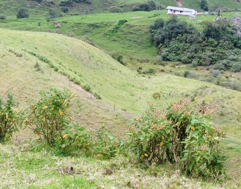 Finca en Venta Santa Rosa De Osos