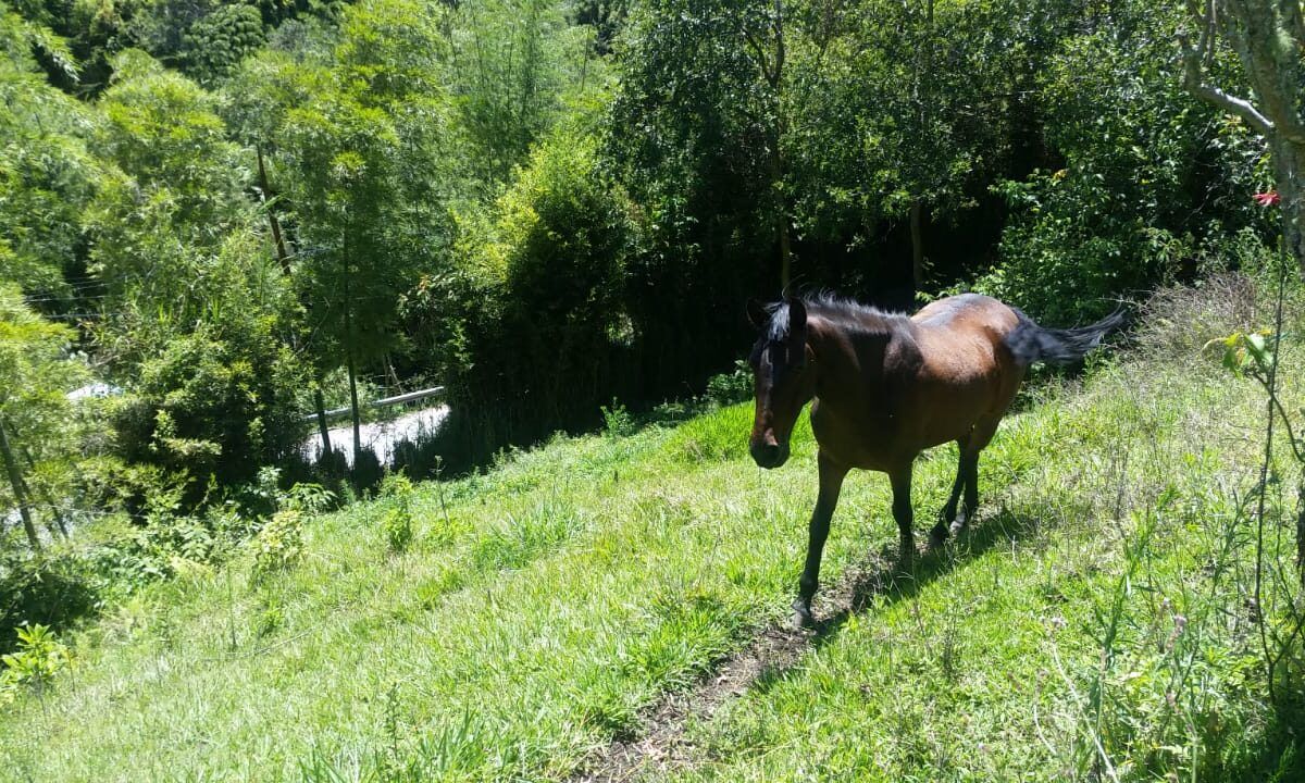 Finca en Venta Vía Marinilla El Peñol