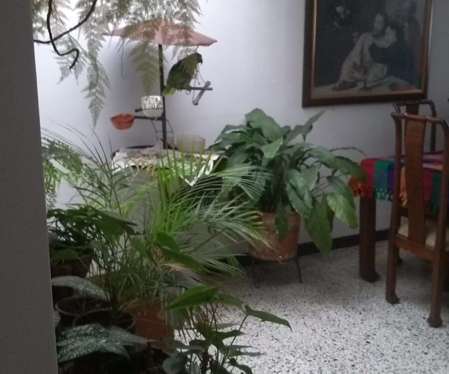Casa en Venta Simón Bolivar