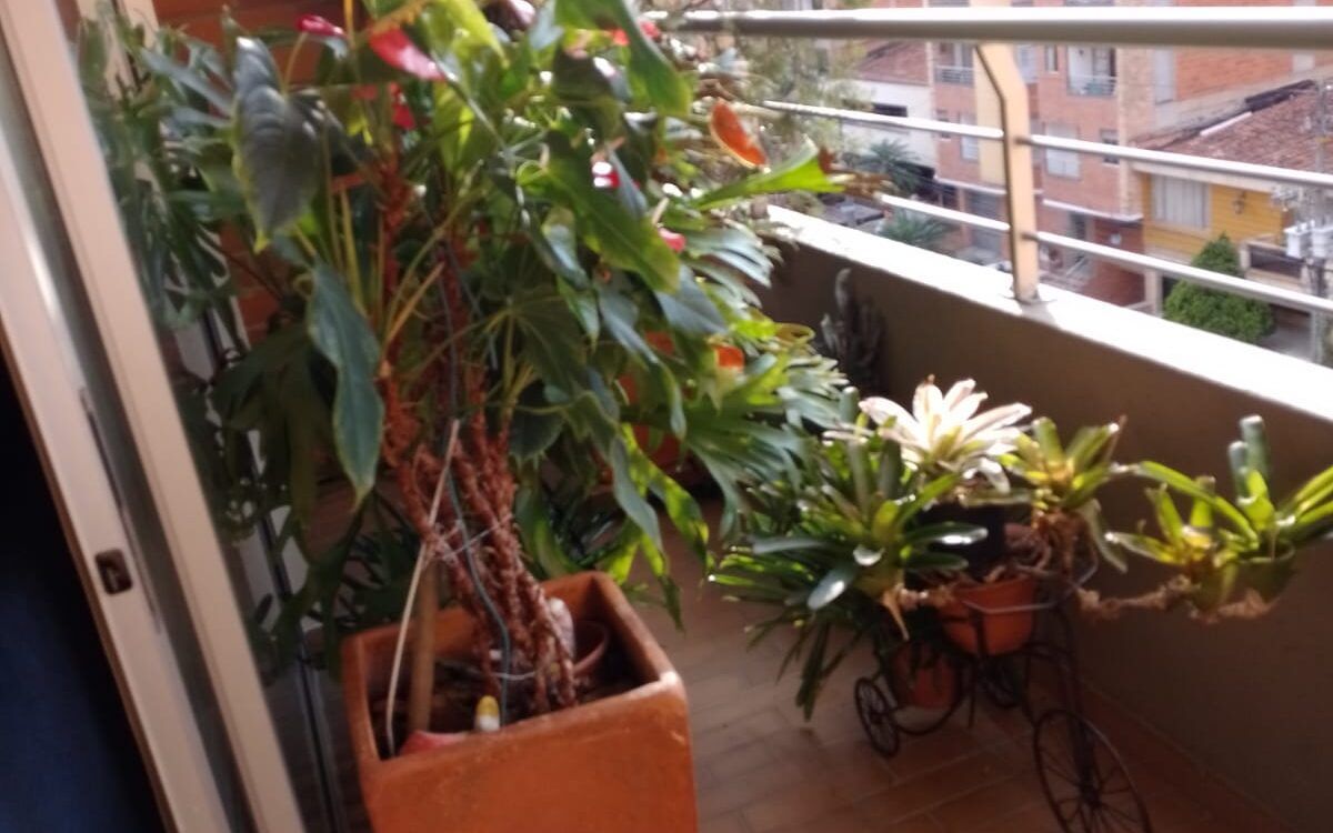 Apartamento en Venta Laureles